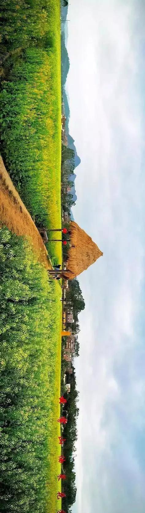 中國(guó)經(jīng)濟(jì)體制改革基金會(huì)全國(guó)第一！中國(guó)改革熱度第三方評(píng)估出爐，云浮宣傳系數(shù)在全國(guó)343個(gè)城市居首位                             